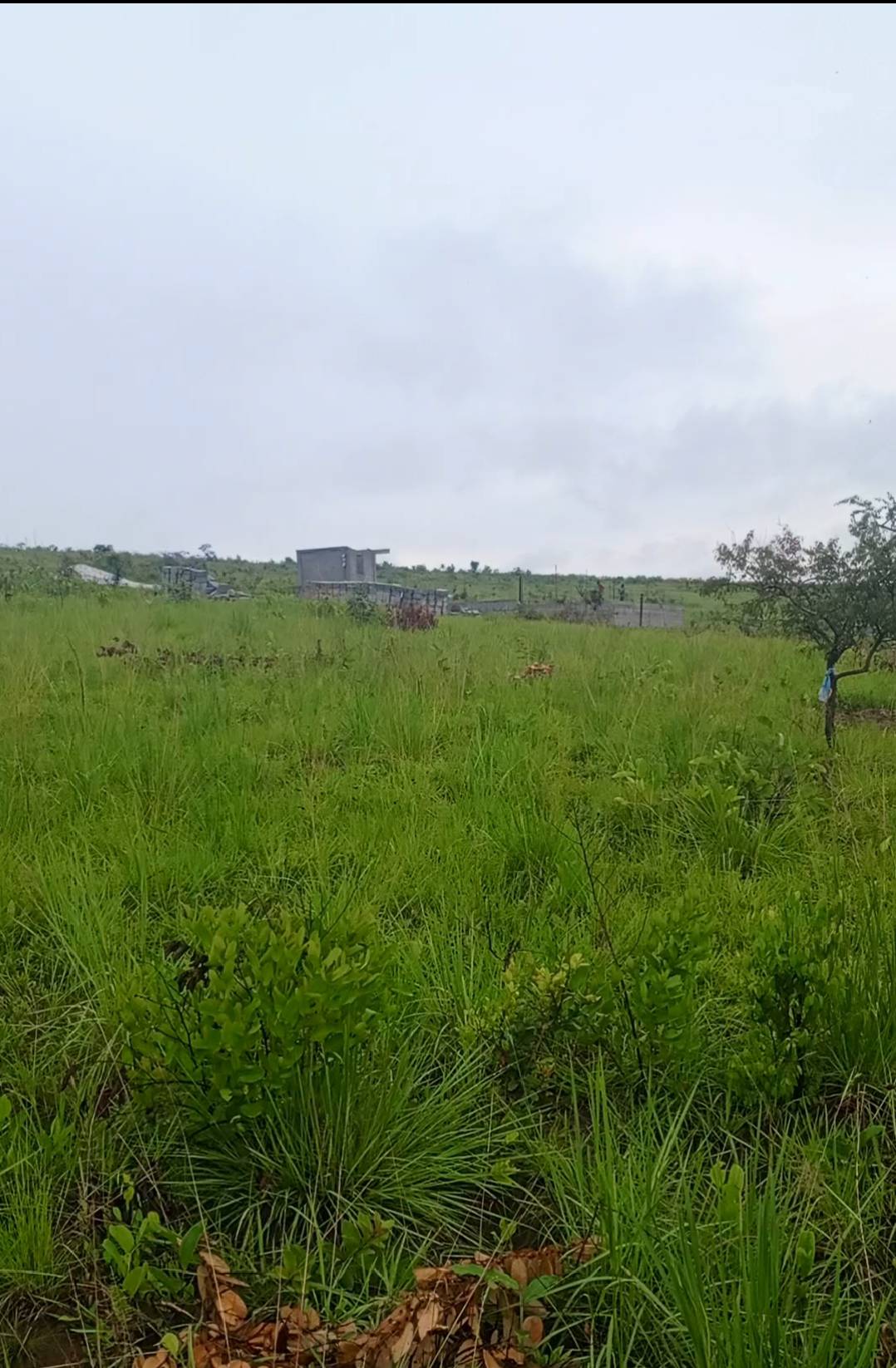 28000m2 A VENDRE 28000m2 A VENDRE