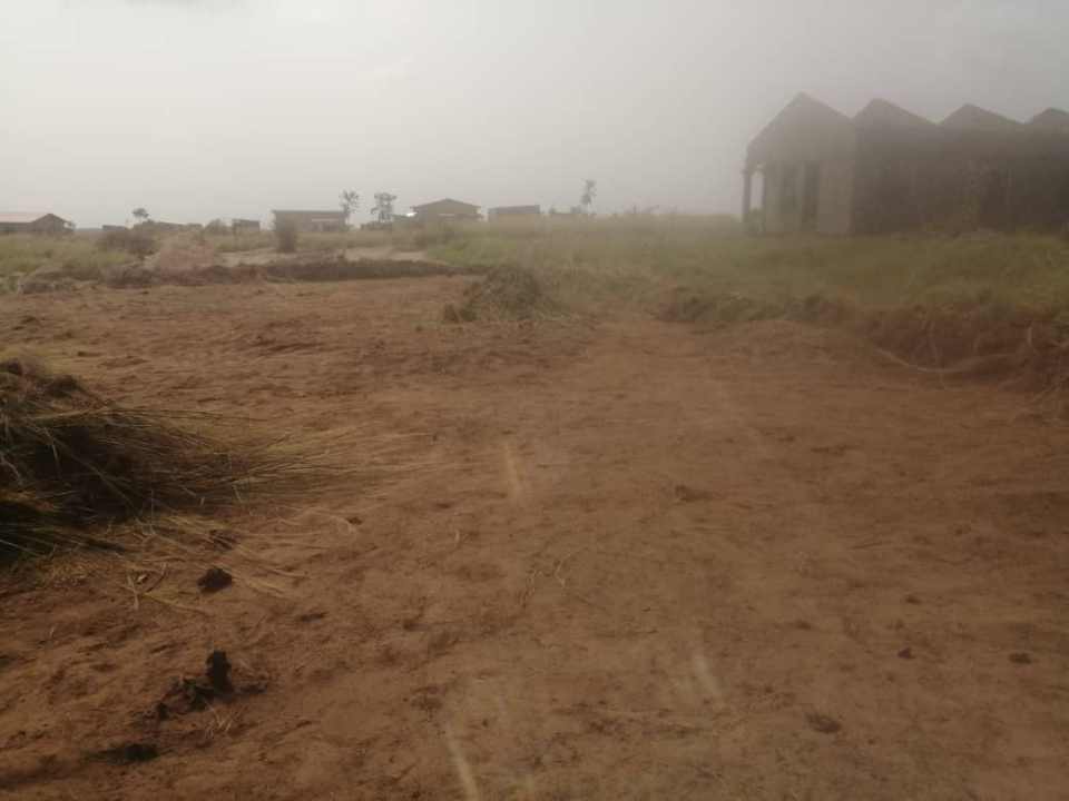 PARCELLE AU QUARTIER 14