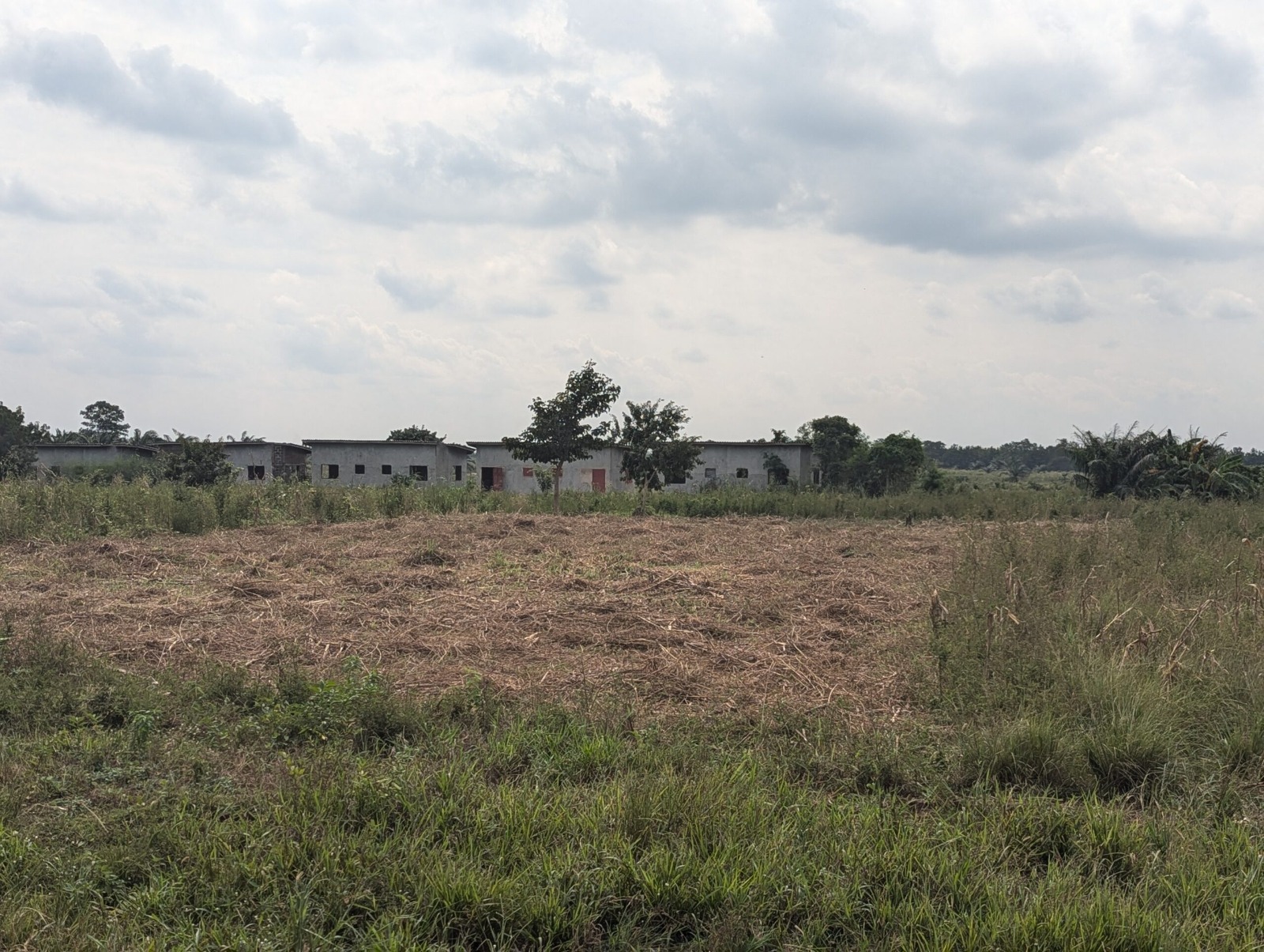 Hectares sur TF à SEHOUE