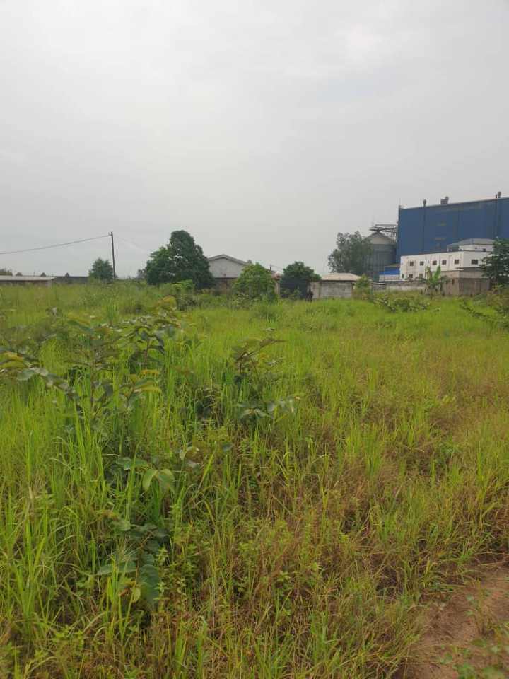 PARCELLE A VINDOULOU PARCELLE A VINDOULOU