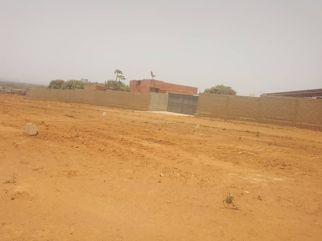 Des terrains a vendre