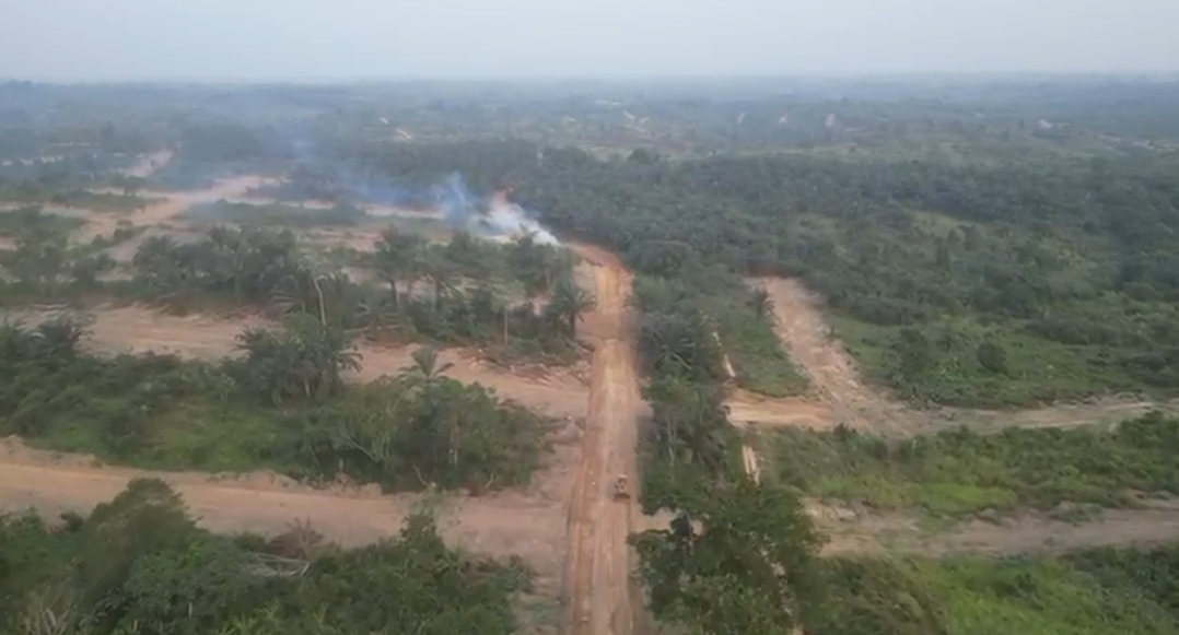 Terrains titrés à Ngombe