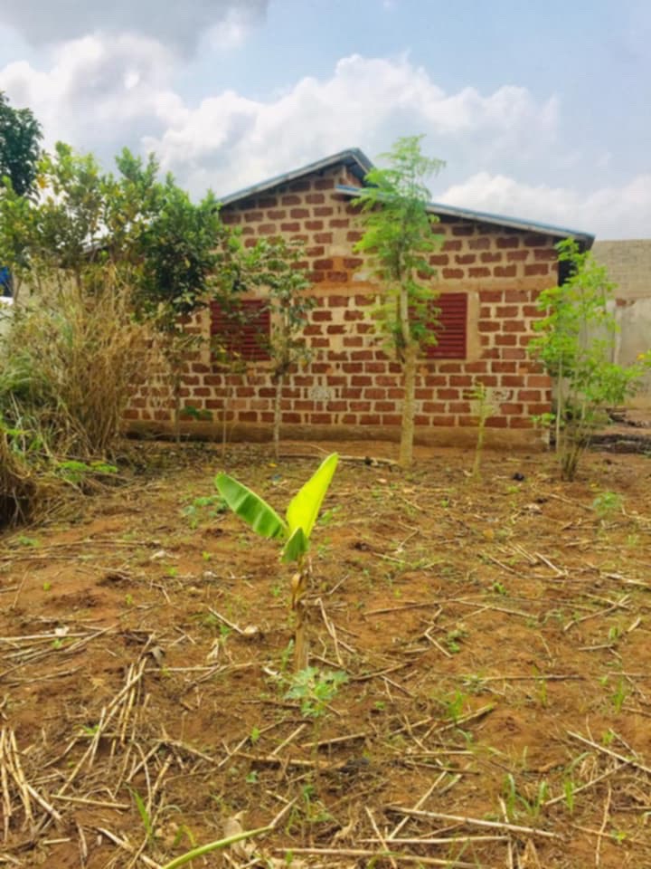 ZÈ WAWATA ZOUNTO OPPORTUNITÉ