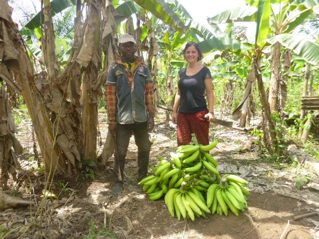 10 HECTARES DE BANANE 10 HECTARES DE BANANE