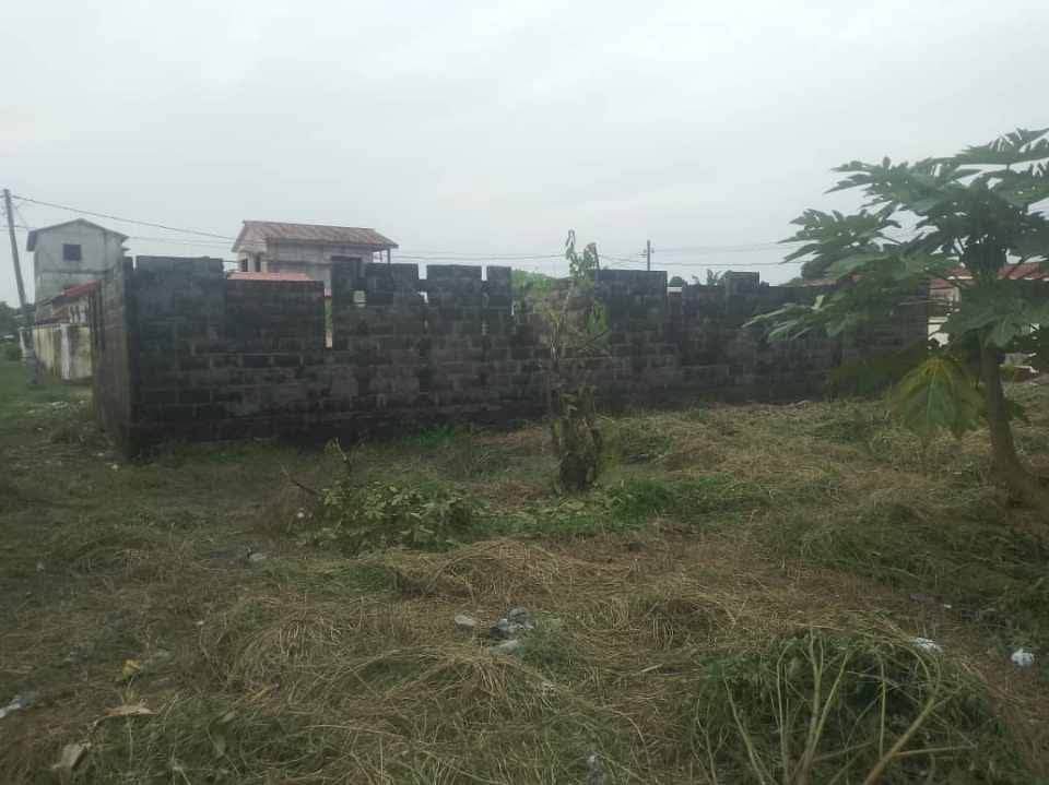 PARCELLE A NGOYO LA FERME PARCELLE A NGOYO LA FERME