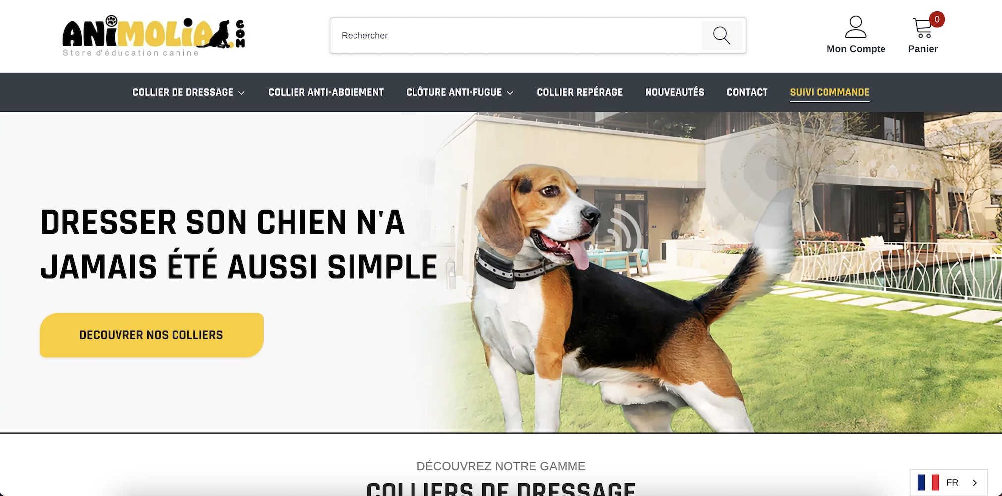 Création de sites web WordPress & Shopify – Design professionnel