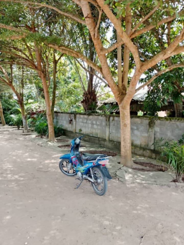 DEMI TERRAIN A VENDRE DEMI TERRAIN A VENDRE