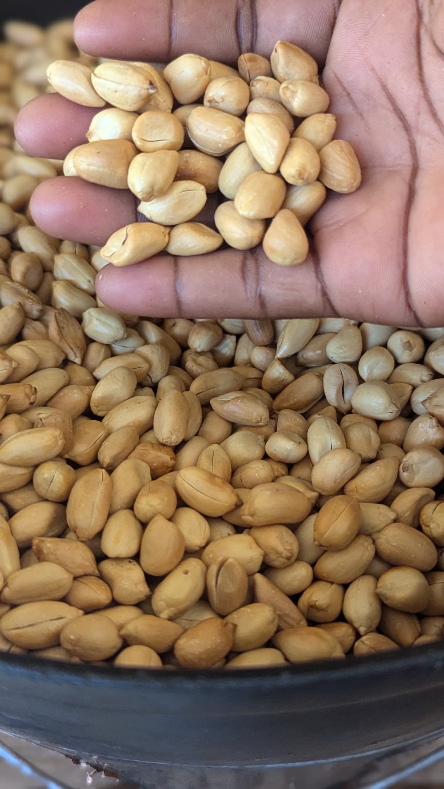 Amuses bouches bio sans additif