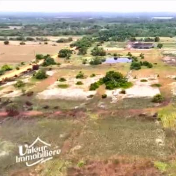 Terrains en Vente a Assinie "Les Perles d'Adjili Pk18"