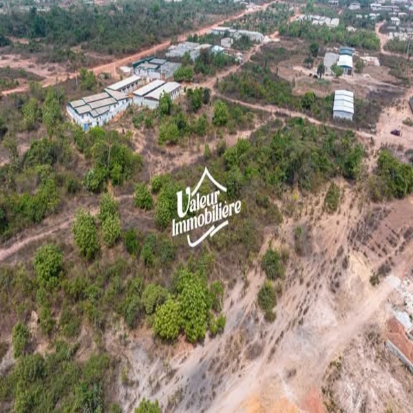 Terrain en Vente a Yamoussoukro