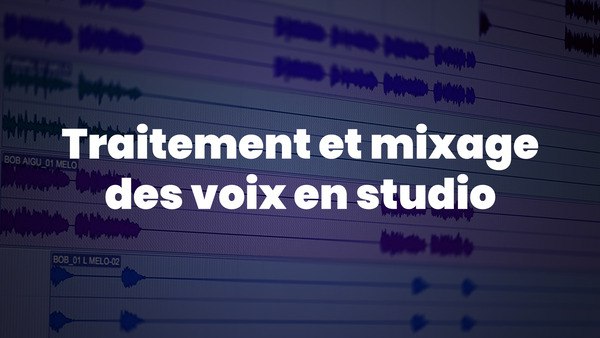 Formation en ligne : "Techniques de traitement et de mixage des voix en studio"