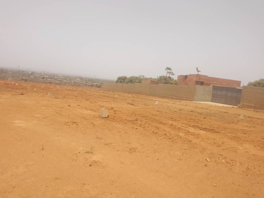 Des Terrains a vendre a Keur Moussa