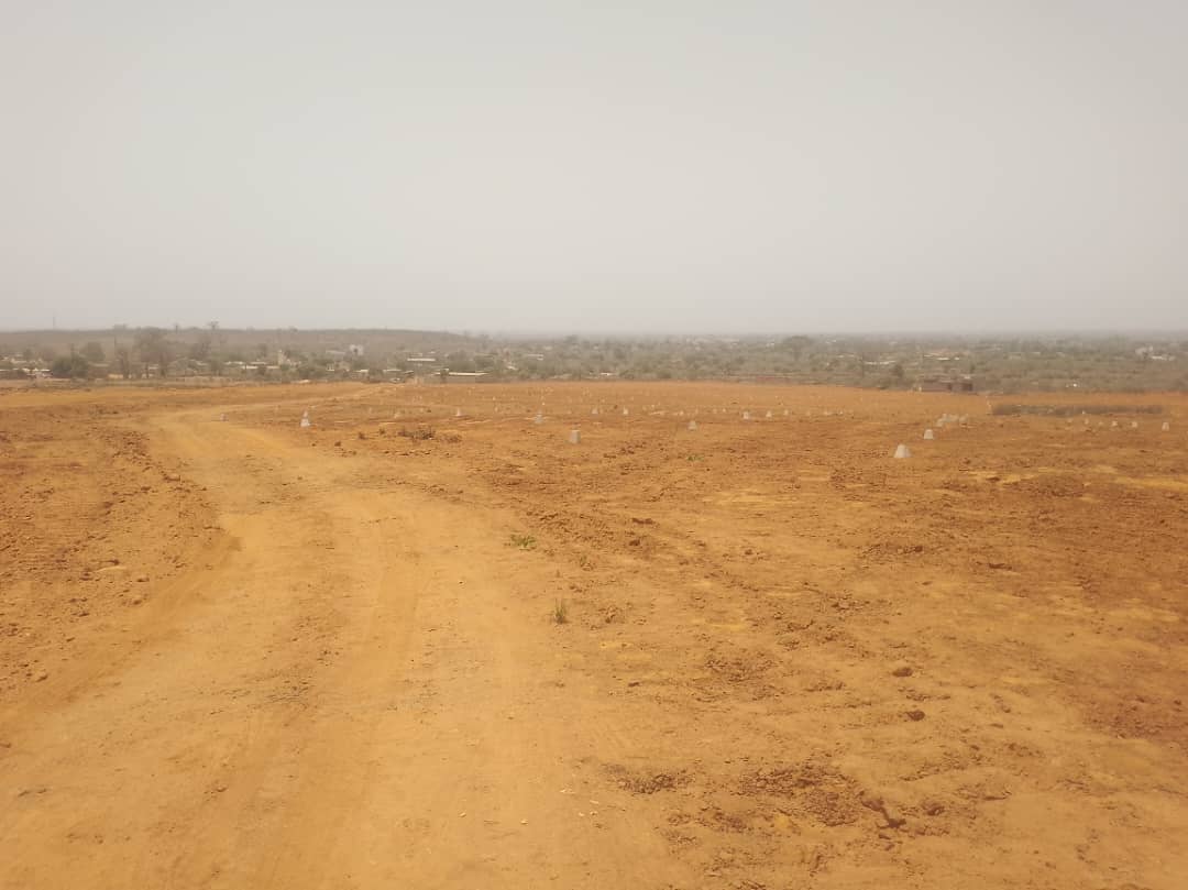 Des Terrains a vendre a Keur Moussa