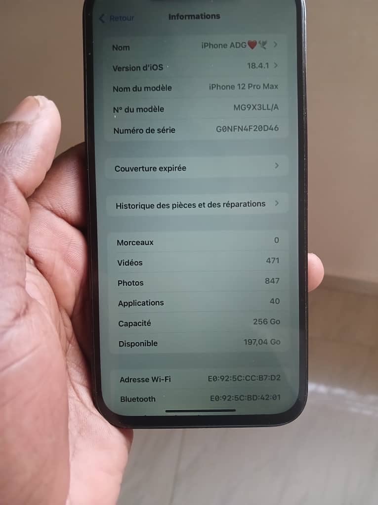 12 pro max turbo 256go