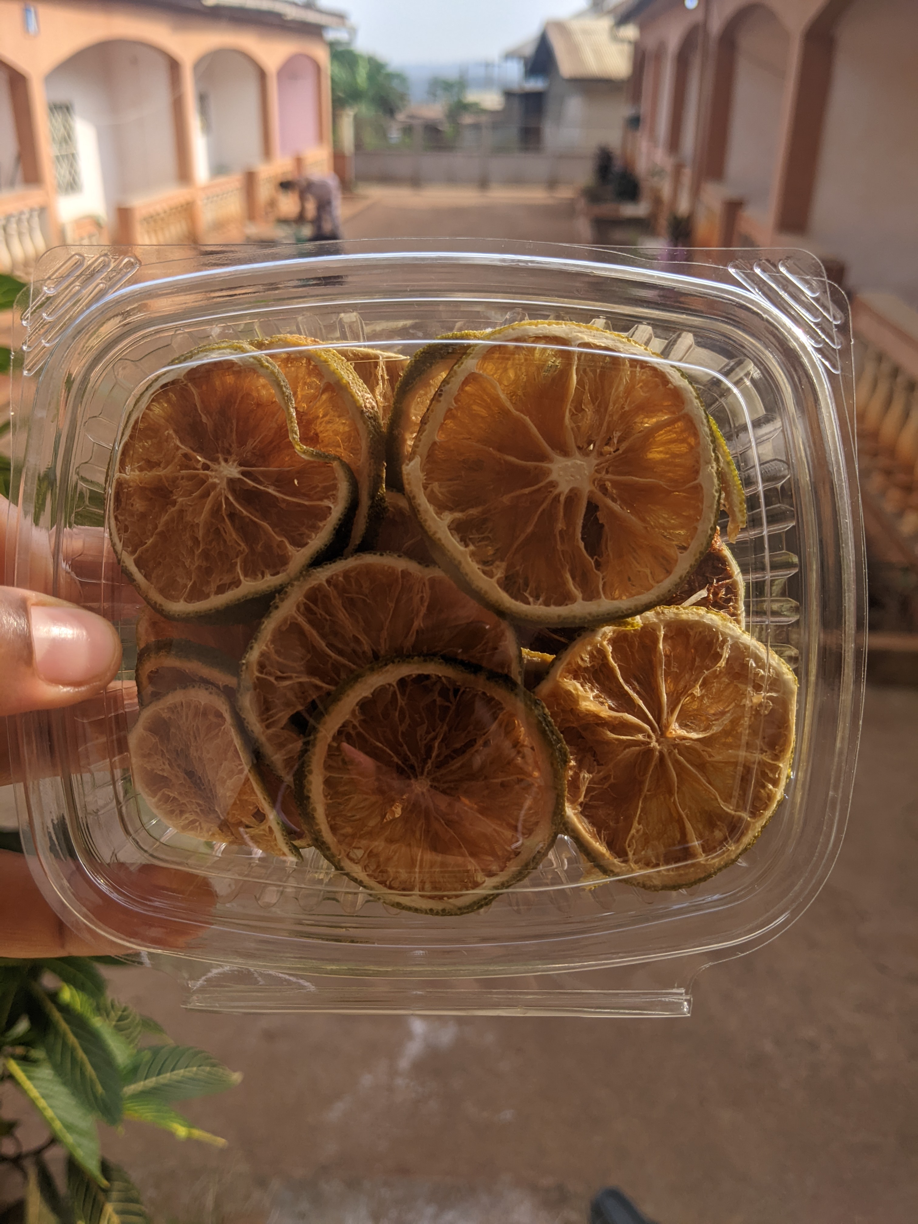 Orange déshydratée Orange déshydratée