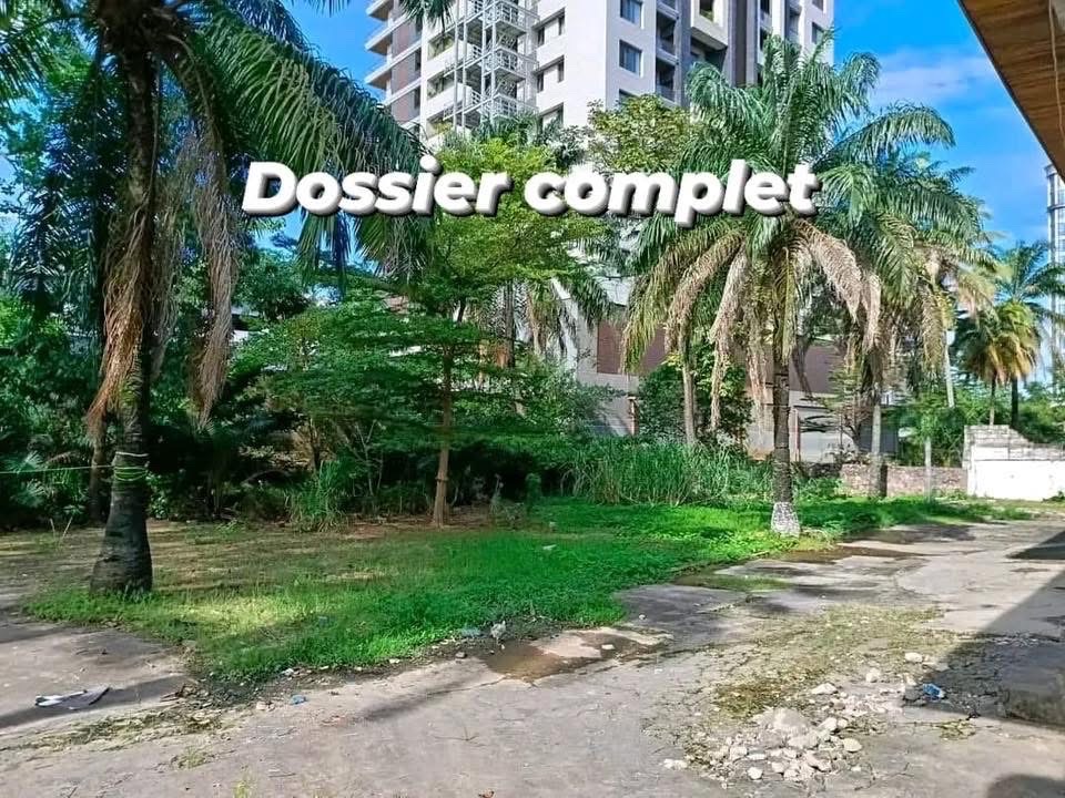 Parcelle Centre ville Parcelle Centre ville