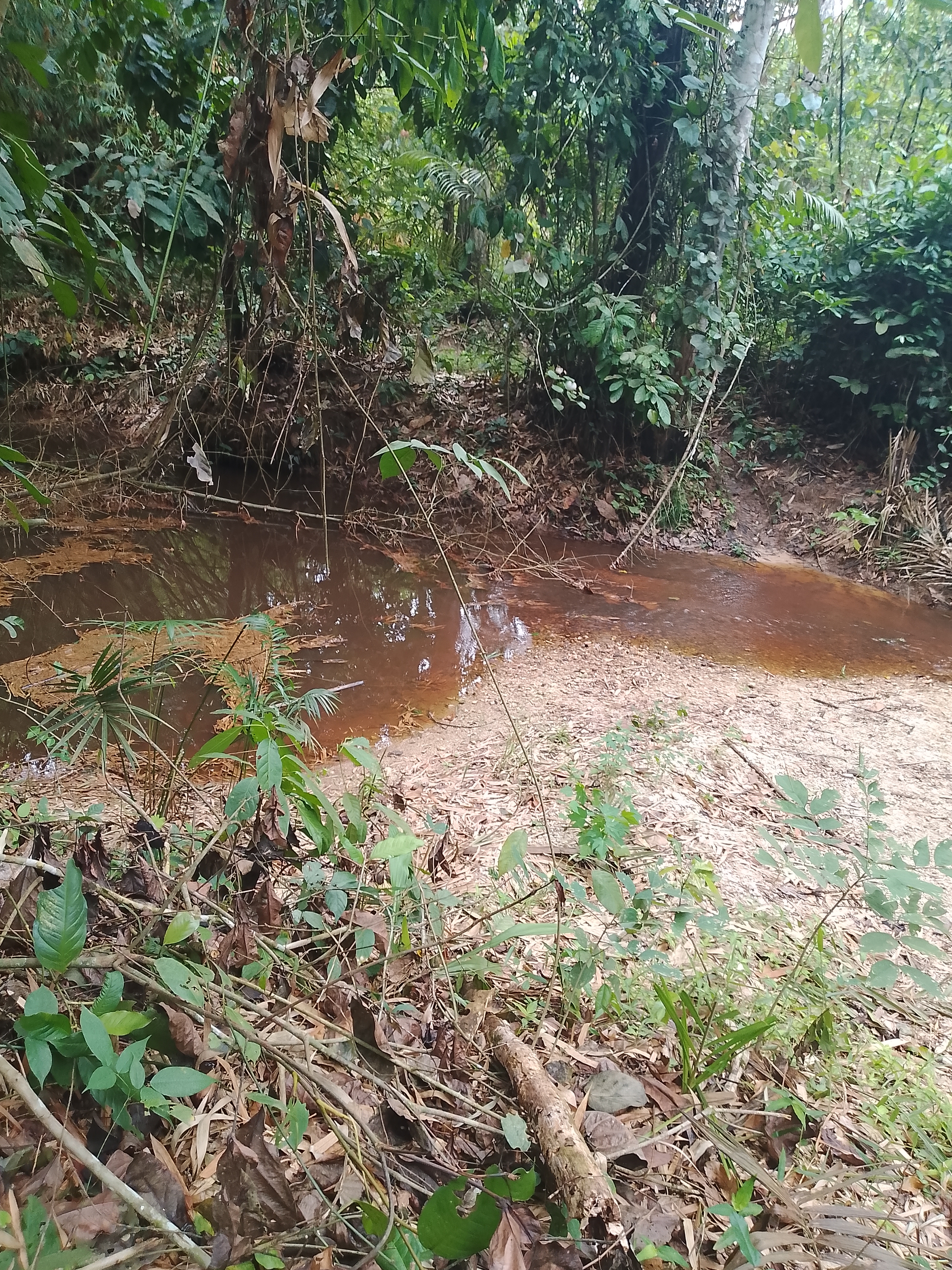 Parcelle 07 hectares avec cours d'eau à Abié