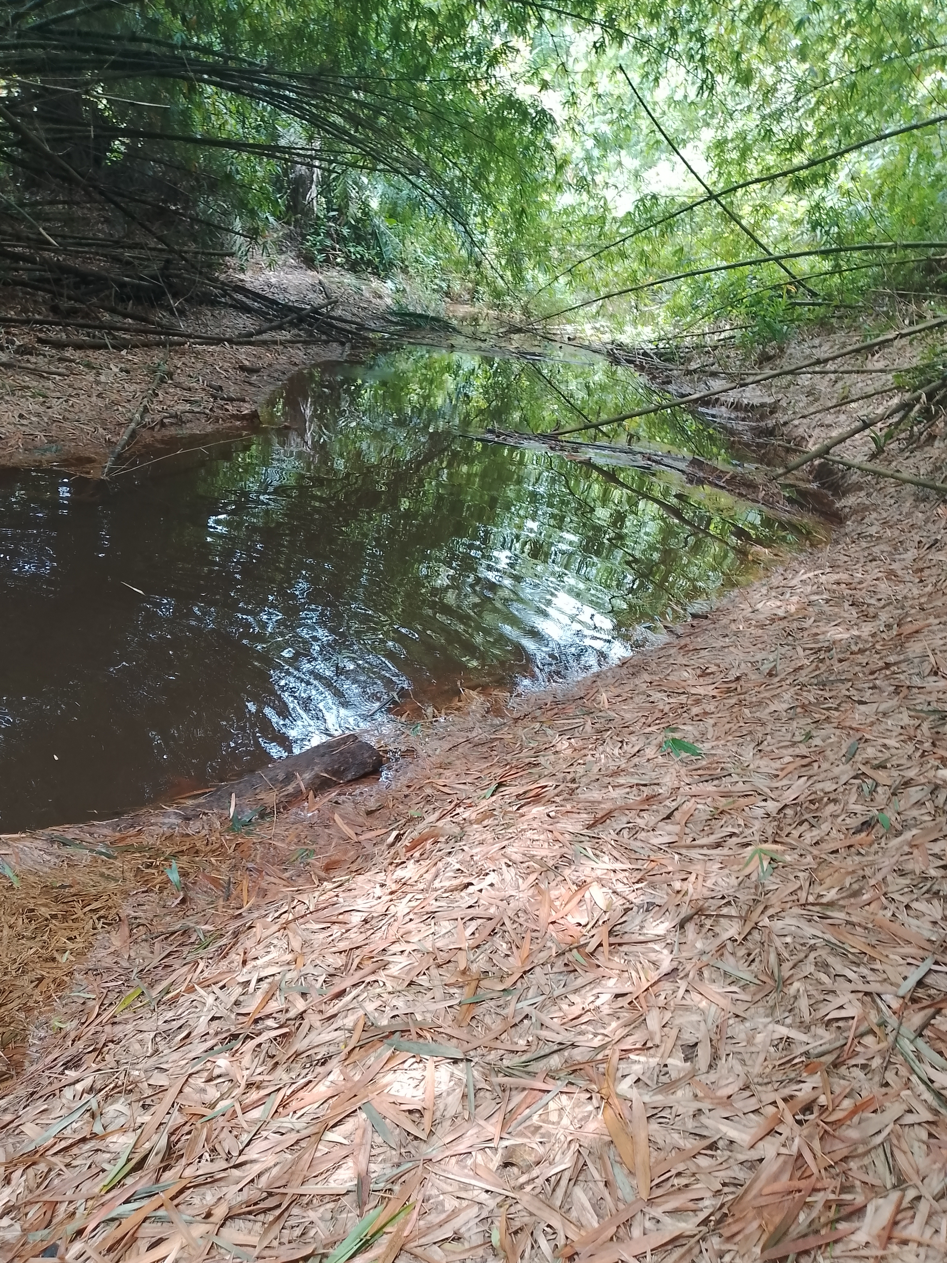 Parcelle 07 hectares avec cours d'eau à Abié