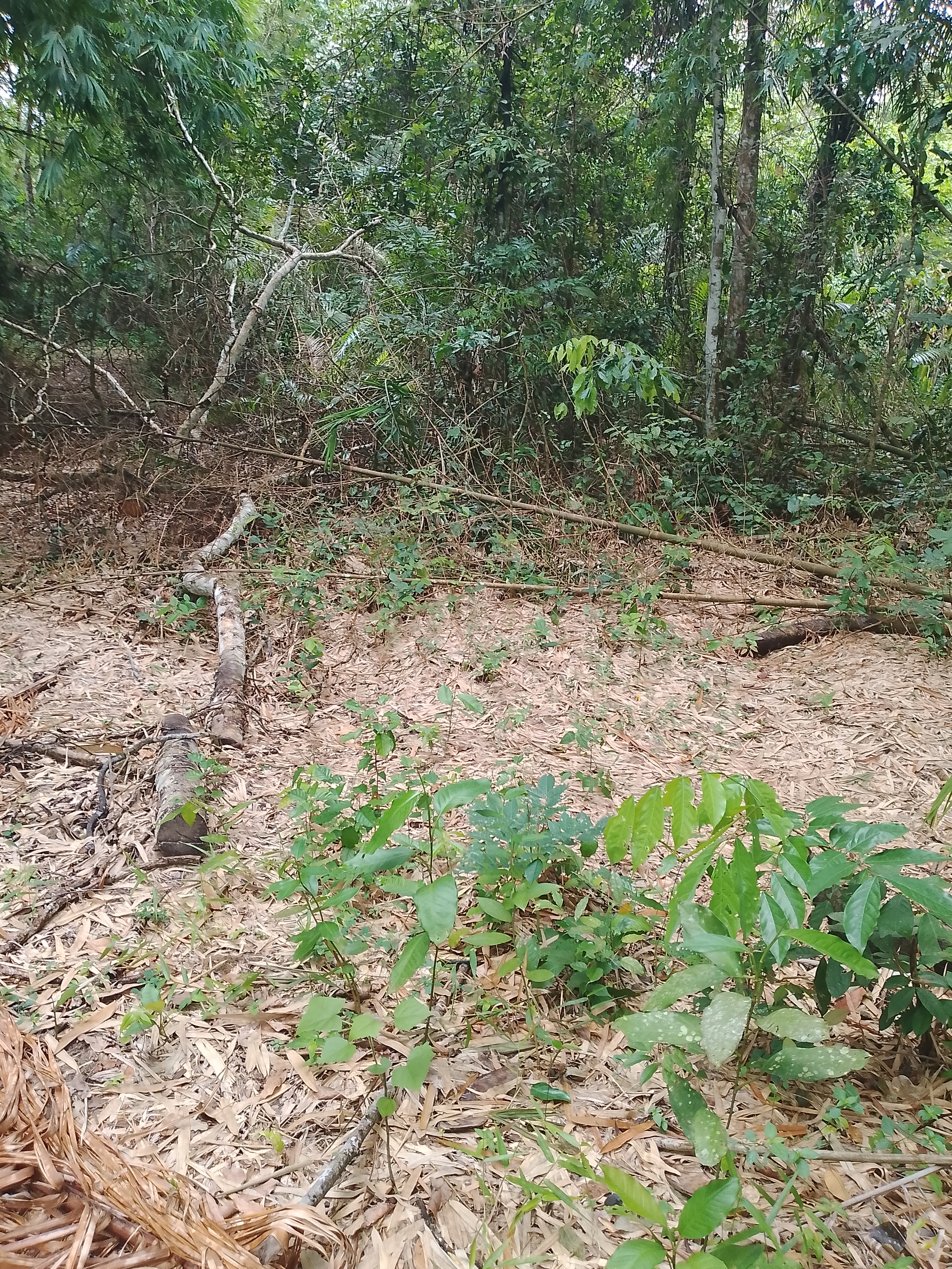 Parcelle 07 hectares avec cours d'eau à Abié
