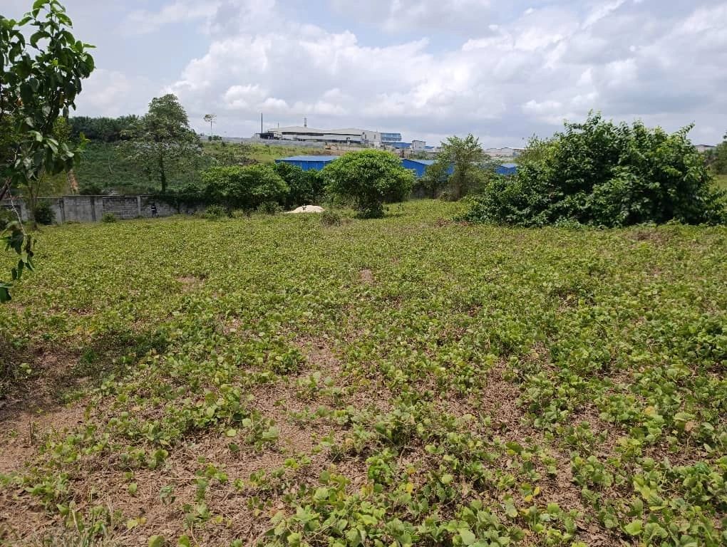 Autoroute du nord pk22, vente terrain 4 hectares ( 4ha).