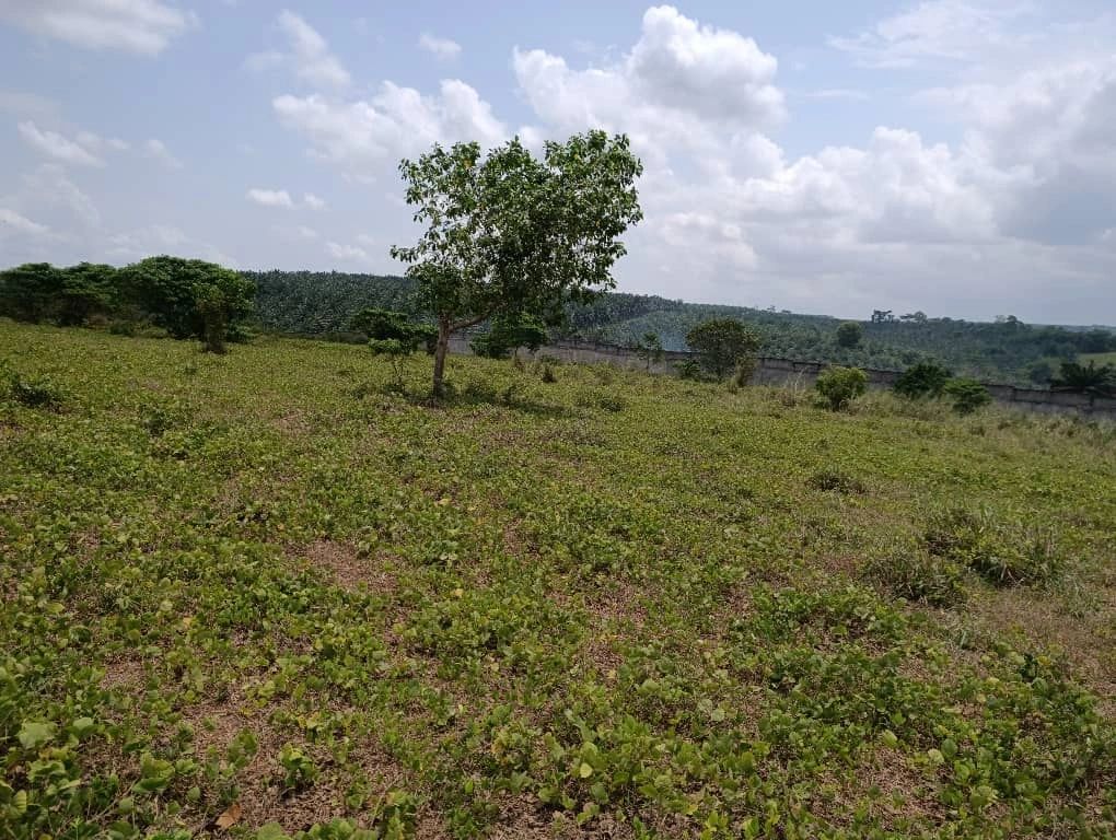 Autoroute du nord pk22, vente terrain 4 hectares ( 4ha).