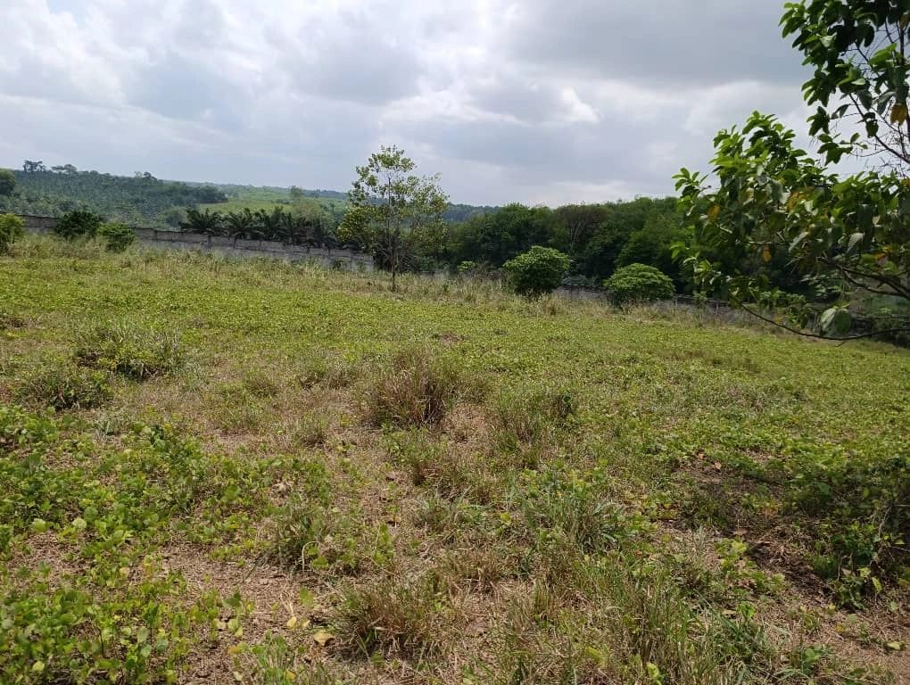 Autoroute du nord pk22, vente terrain 4 hectares ( 4ha).