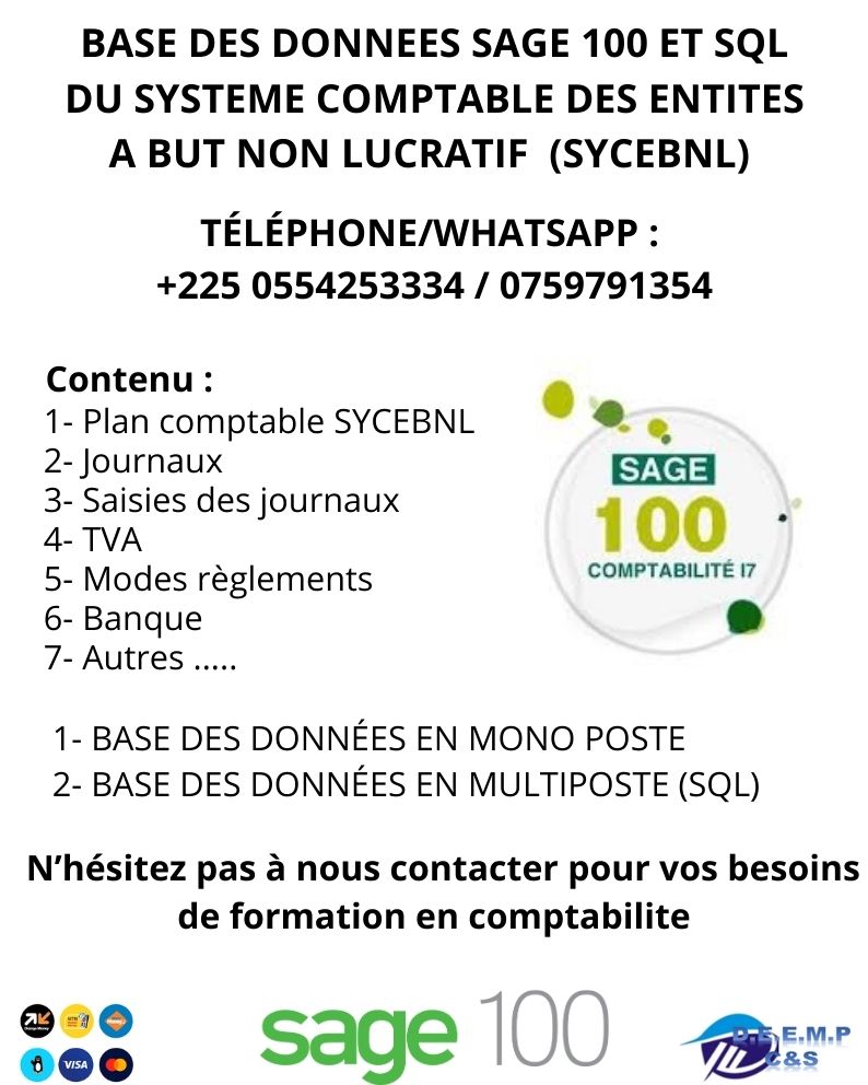 fichier sage 100 Comptabilité paramétré (SYCBNL)