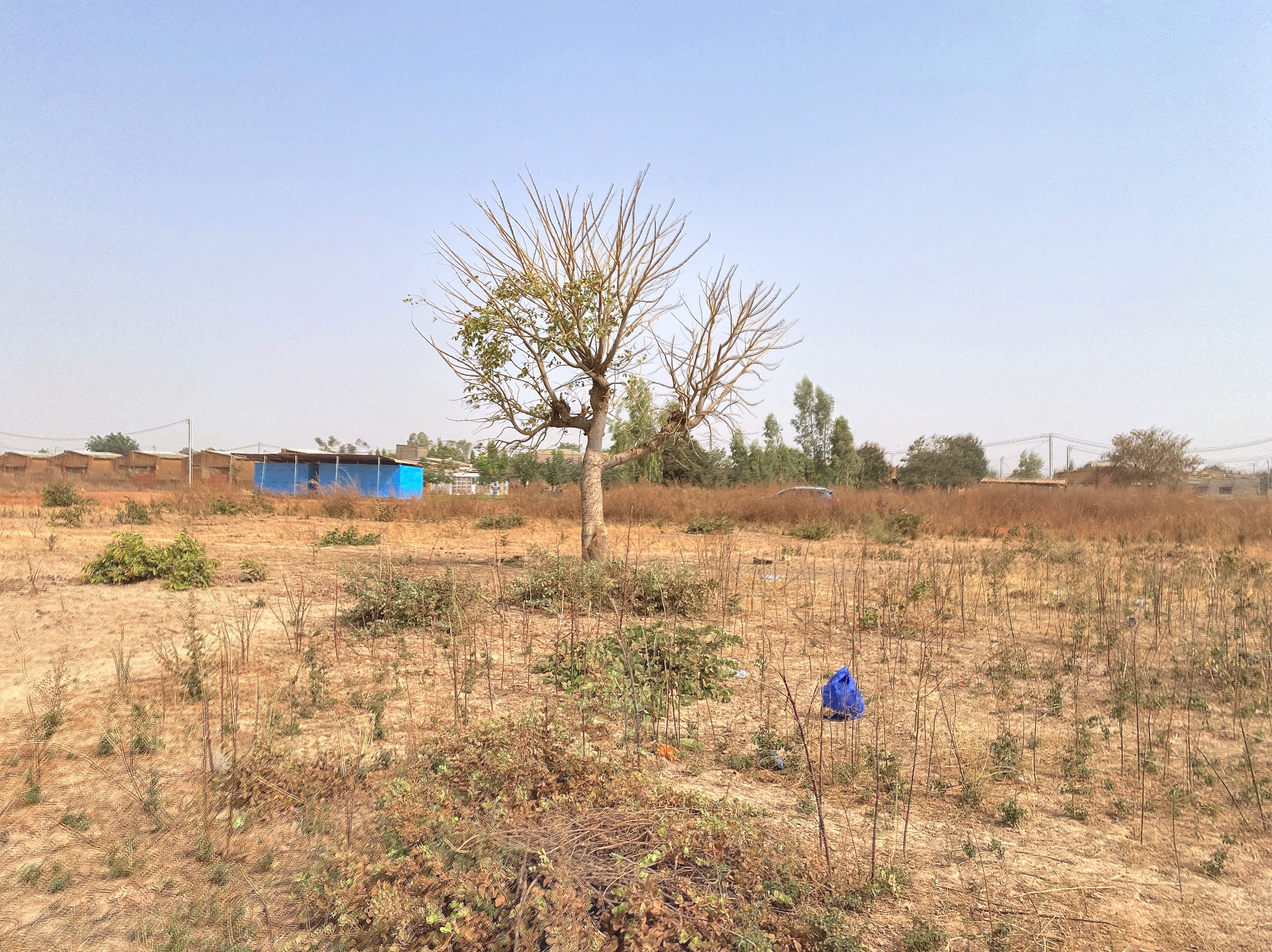 Parcelle de 450 m² à vendre à Bassinko – Perfector Immobilier