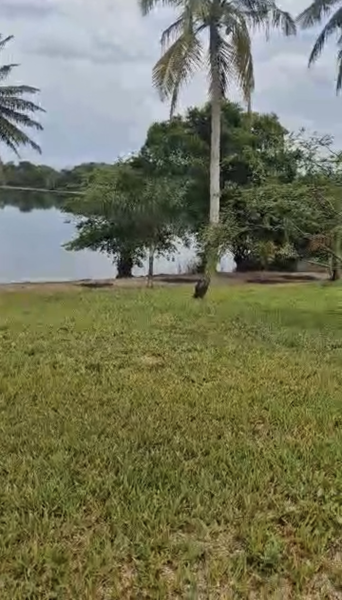 En vente 2900m2 bordure lac brakré à la baie des milliardaires