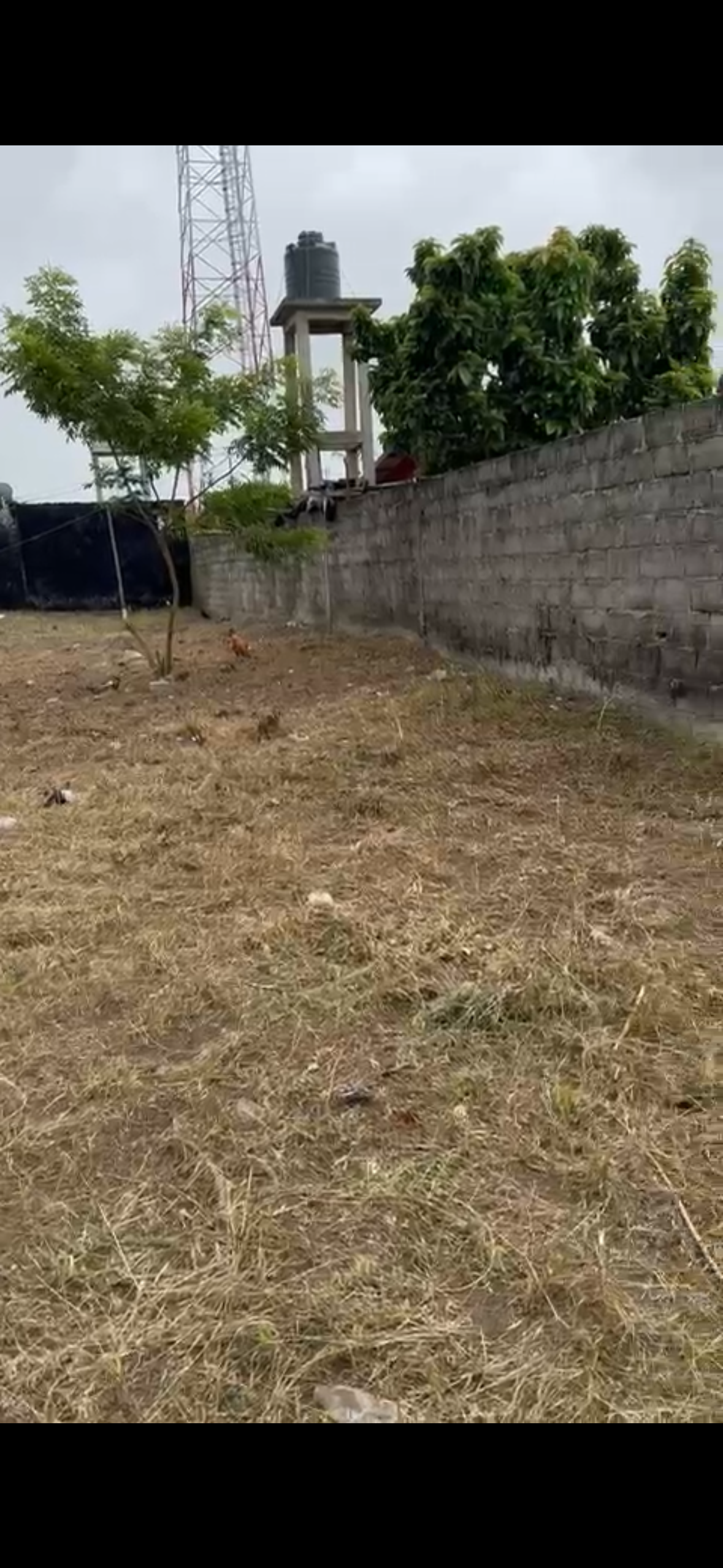 En vente lot 600m2 à 50m bordure lagune à la baie des milliardaires