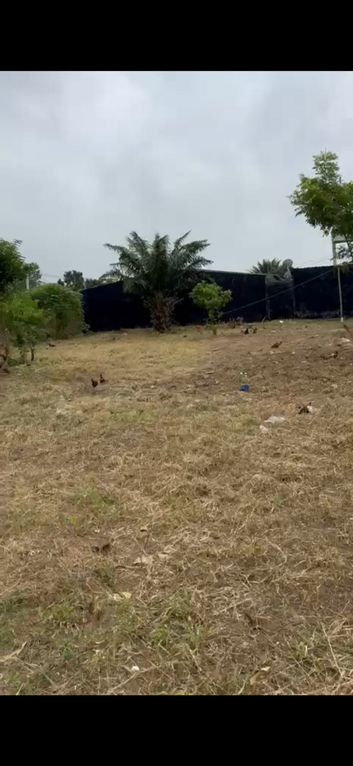 En vente lot 600m2 à 50m bordure lagune à la baie des milliardaires