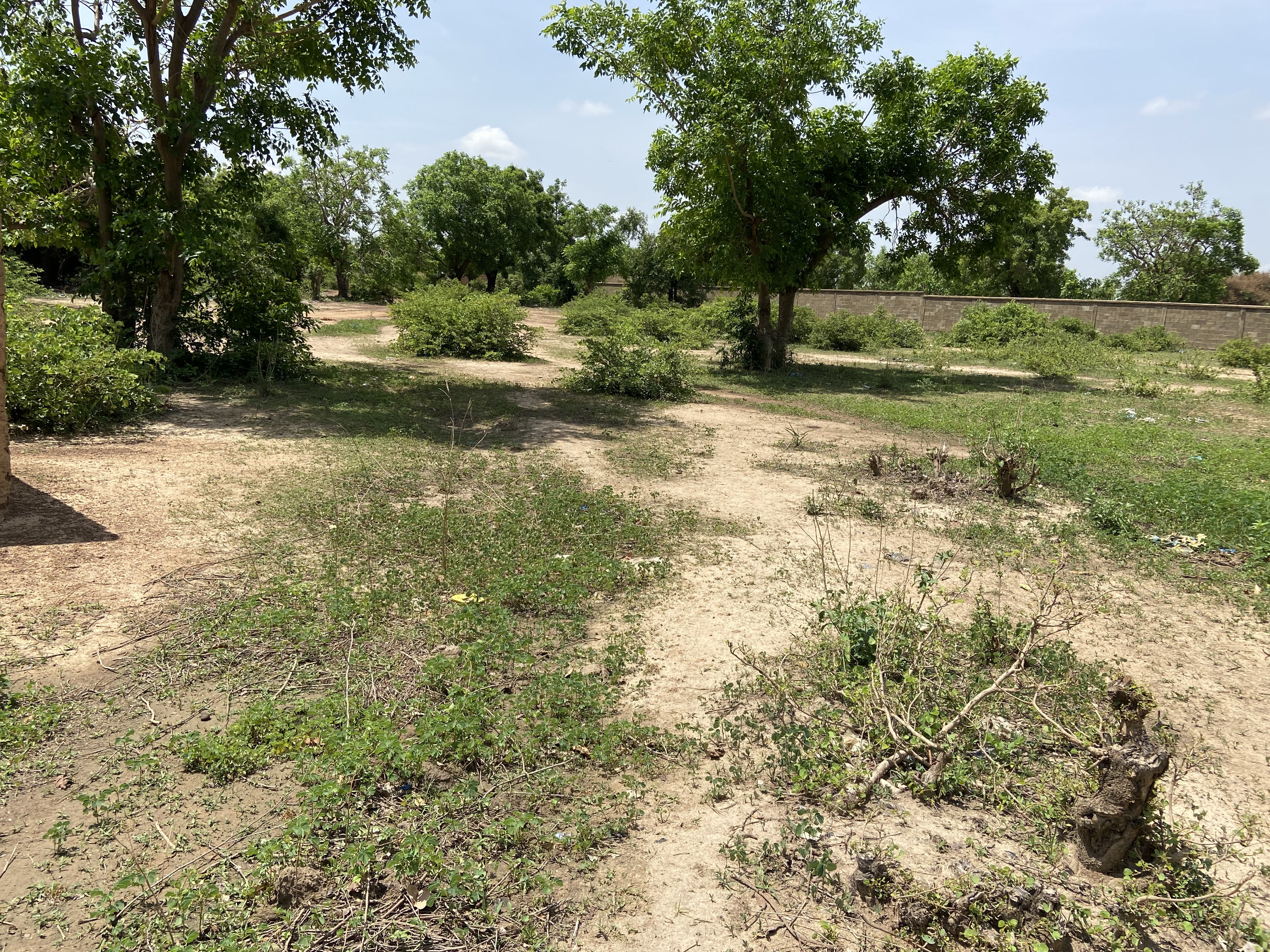 DEUX PARCELLES JUMELÉES D'UNE SUPERFICIE DE 560 M² SONT EN VENTE SUR PERFECTOR IMMOBILIER