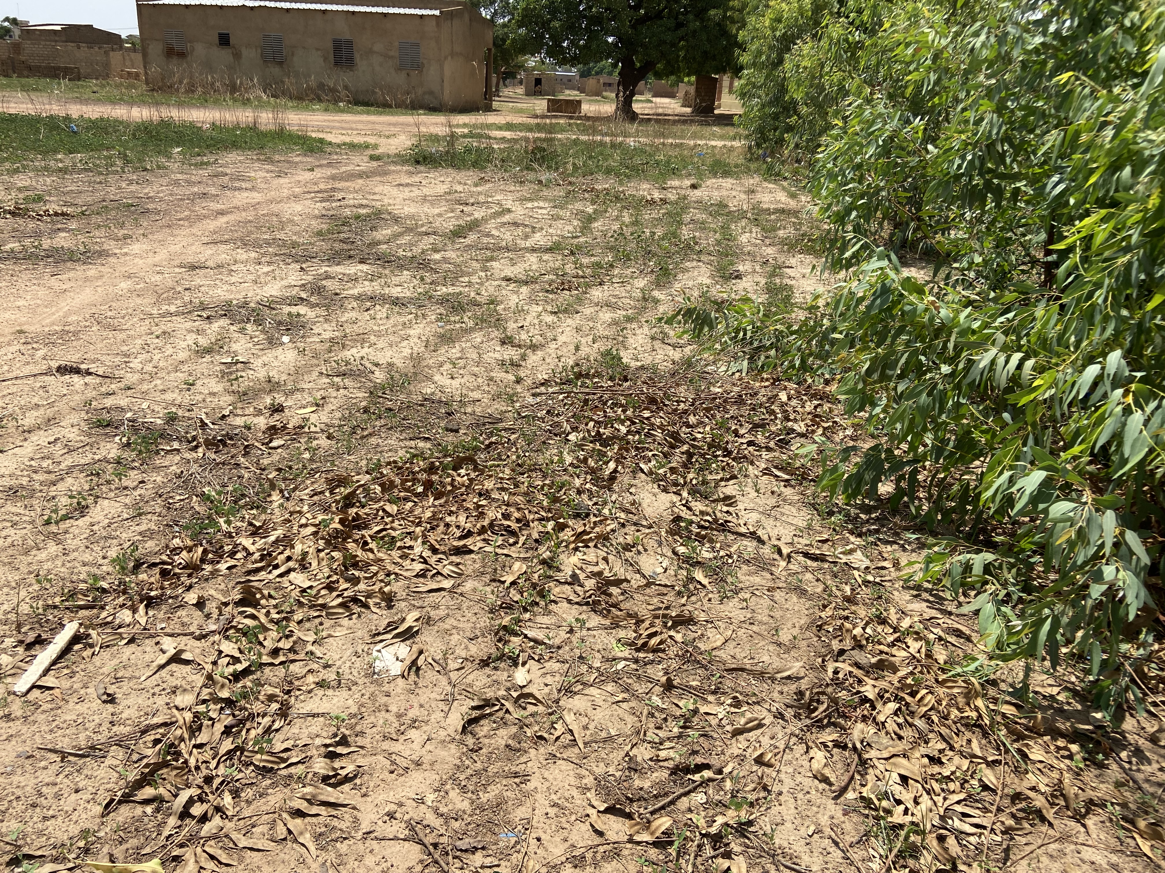 DEUX PARCELLES JUMELÉES D'UNE SUPERFICIE DE 560 M² SONT EN VENTE SUR PERFECTOR IMMOBILIER