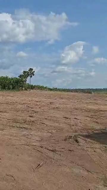 8 hectares à vendre situé à songon Baie des Milliards Audion Santé