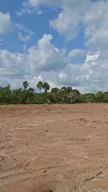 8 hectares à vendre situé à songon Baie des Milliards Audion Santé