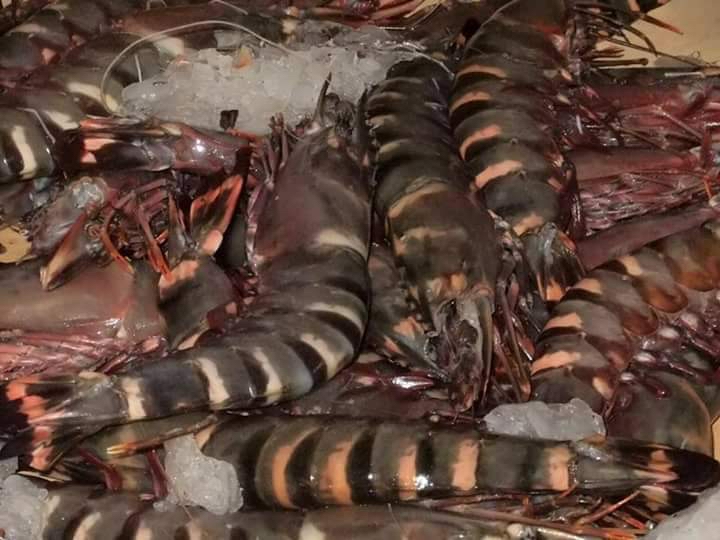 Gambas ( Fruits de mer) Gambas ( Fruits de mer)