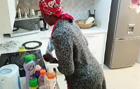 Domestique de maison Domestique de maison