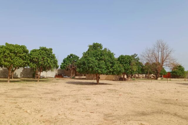 Location exploitation agricole de 5000 m² vers Notto Diobass