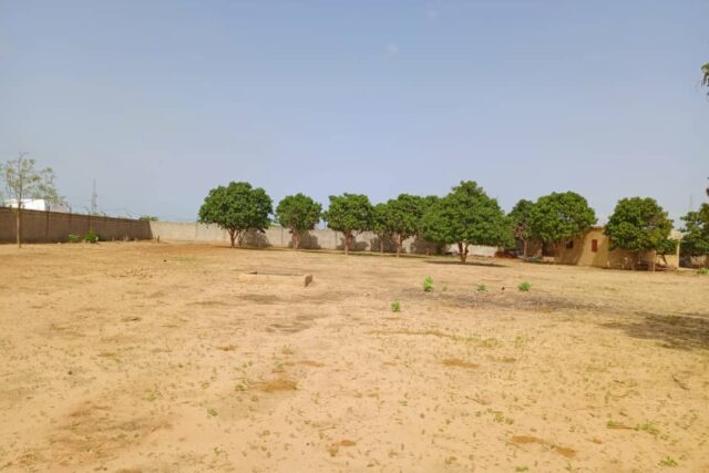 Location exploitation agricole de 5000 m² vers Notto Diobass