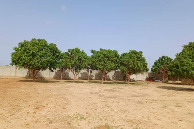 Location exploitation agricole de 5000 m² vers Notto Diobass