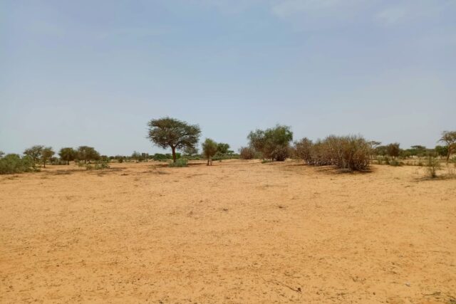 Terrain de 1,16 hectare vers Diokoul Diawrigne