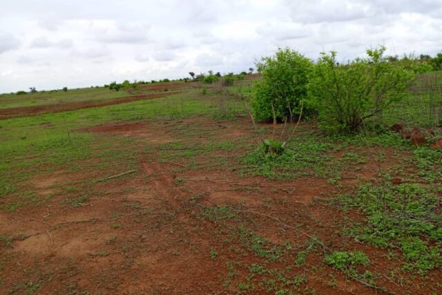 Terrain de 1,16 hectare vers Notto Diobass