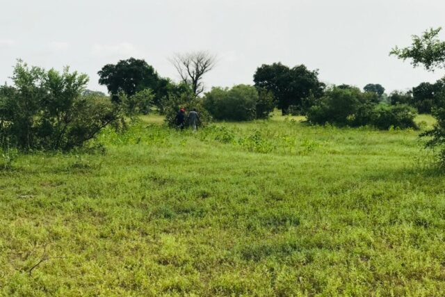 Terrain de 1,17 hectare vers Tataguine