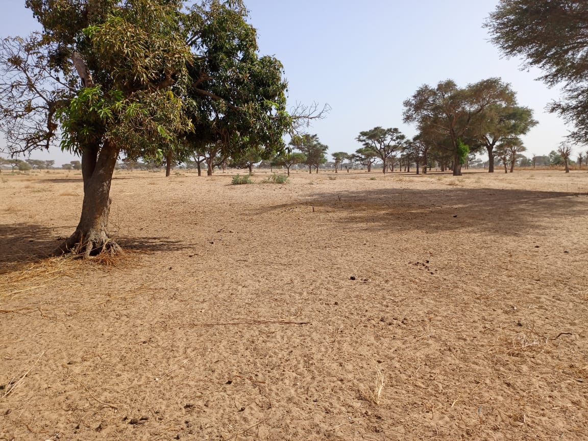 Terrain de 1,18 hectare vers Tassette