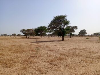 Terrain de 1,18 hectare vers Tassette