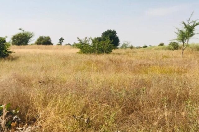 Terrain de 1,18 hectare vers Tassette