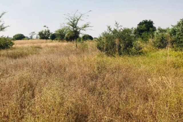 Terrain de 1,18 hectare vers Tassette