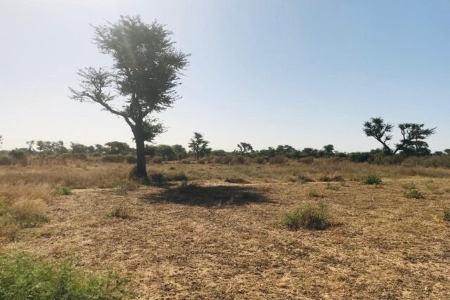 Terrain de 1,21 hectare vers Notto Diobass