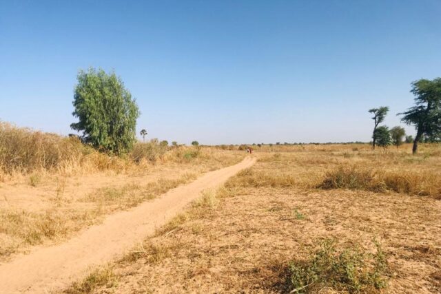 Terrain de 1,21 hectare vers Notto Diobass