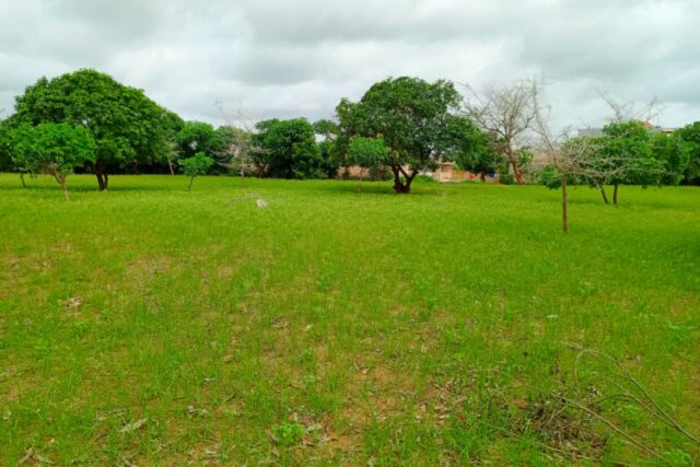 Terrain de 1,27 hectare vers Keur Moussa